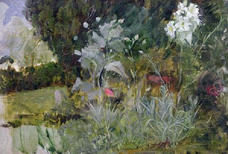 Study of Flowers and Foliage, for 'The Enchanted Garden'