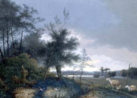 Landscape with a fox chasing geese od Joseph August Knip