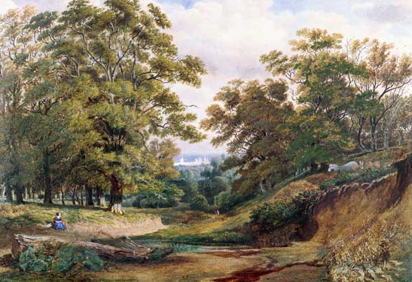 A Scene in Bagley Wood near Oxford (w/c and bodycolour) od William Turner