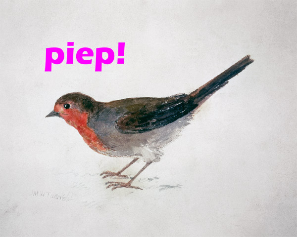 Robin, from The Farnley Book of Birds  - "piep!" od William Turner