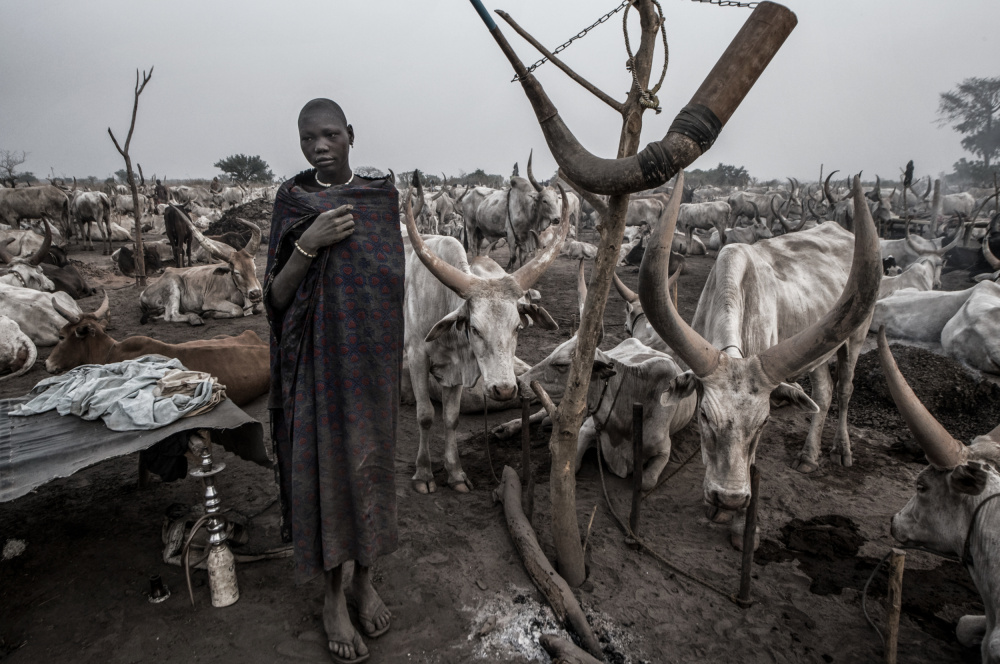 In a Mundari cattle camp-III - South Sudan od Joxe Inazio Kuesta Garmendia