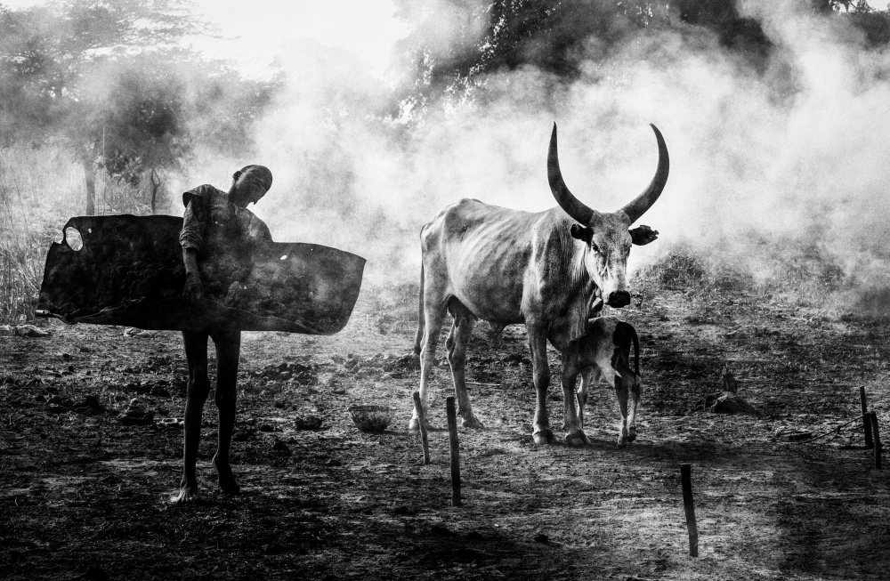 Mundari chlid carrying dung - South Sudan od Joxe Inazio Kuesta Garmendia