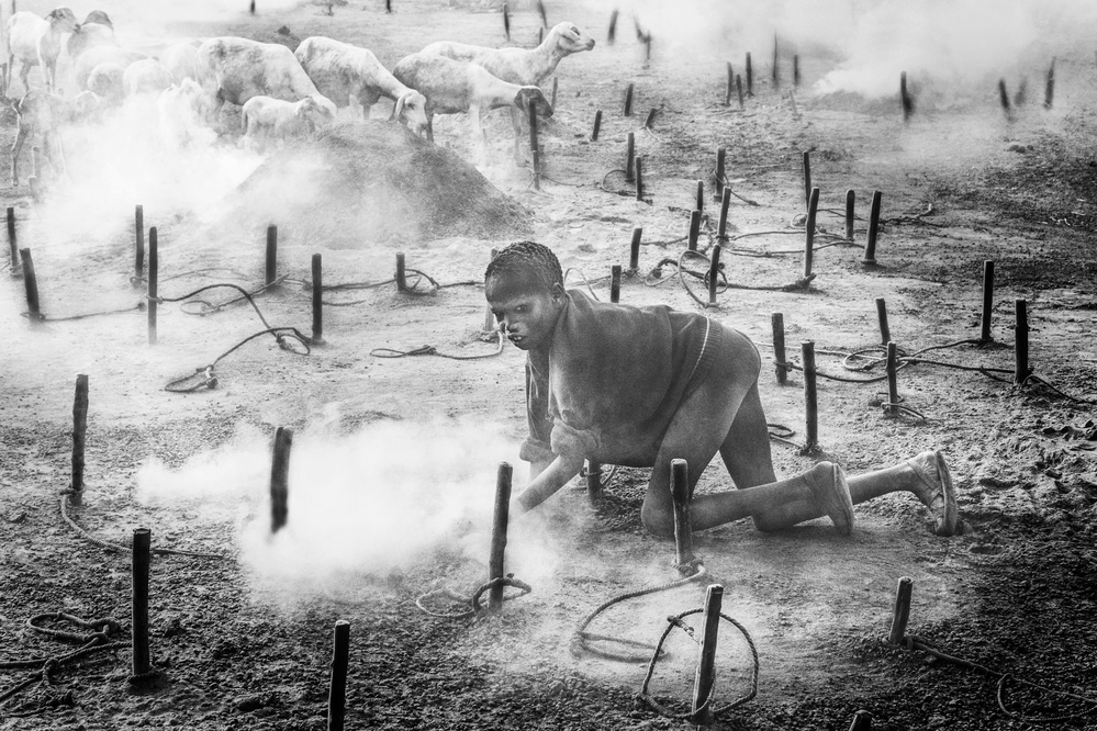 Collecting dung in a mundari cattle camp - South Sudan od Joxe Inazio Kuesta Garmendia