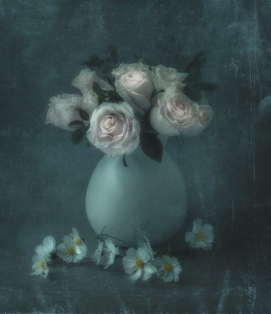 Old roses od Judy Tseng