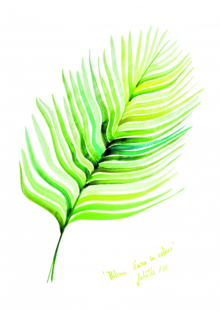 Palma doro in colour od Julija Belickienė