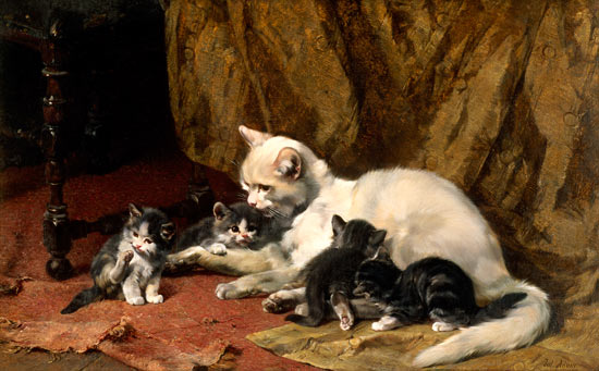 Cat with four boys on an old carpet. od Julius Adam