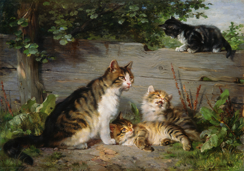 Cat mother with three boys od Julius Adam