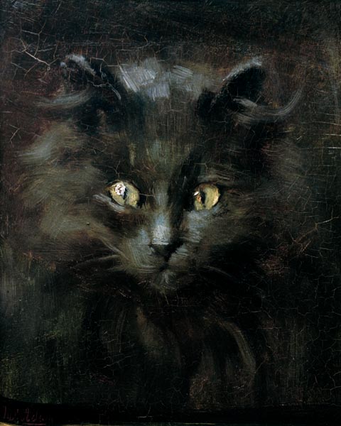 Portrait of a cat od Julius Adam