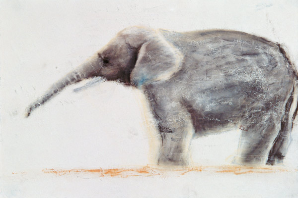 Elephant (pastel on paper)  od Jung Sook  Nam