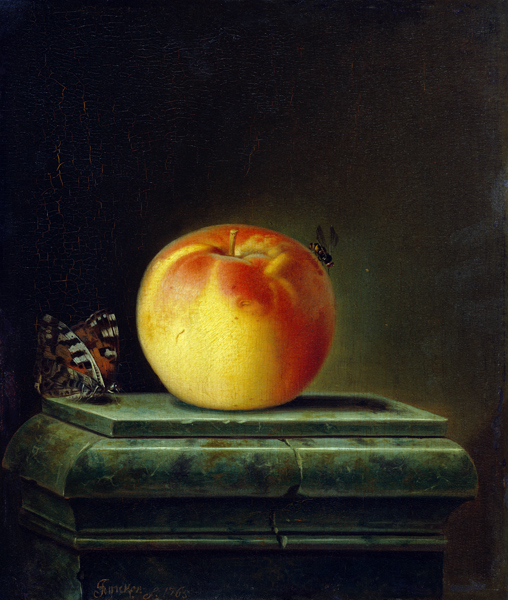 Still Life with Apple and Insects od Justus Juncker