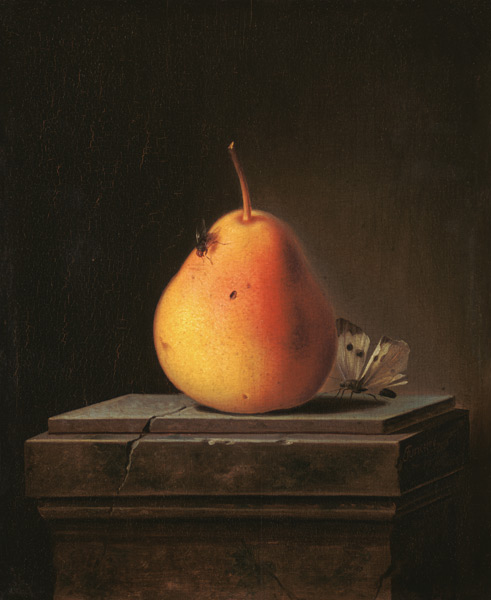 Still Life with Pear and Insects od Justus Juncker