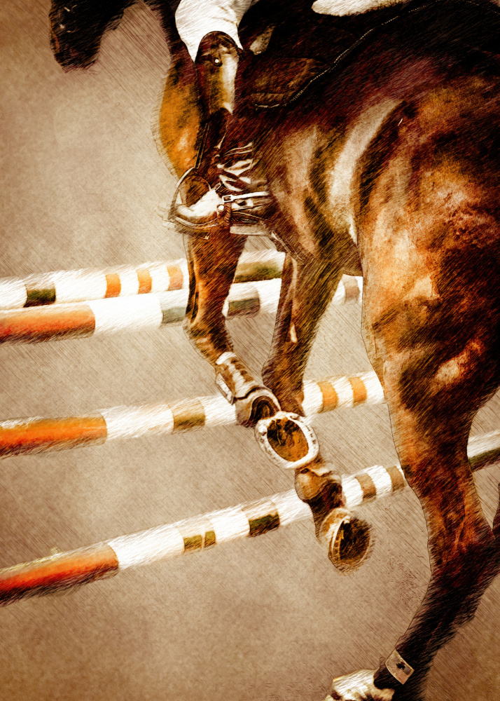 Horse Riding Sport Art (5) od Justyna Jaszke