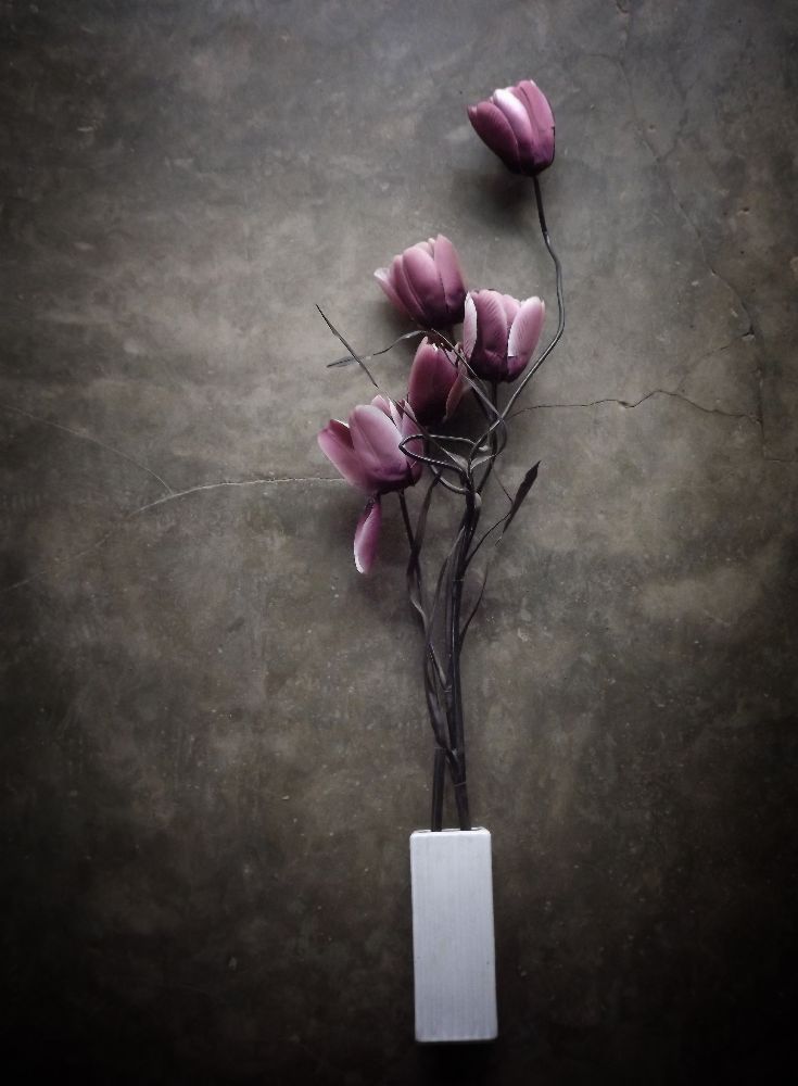 The Purple Tulip od kahar lagaa