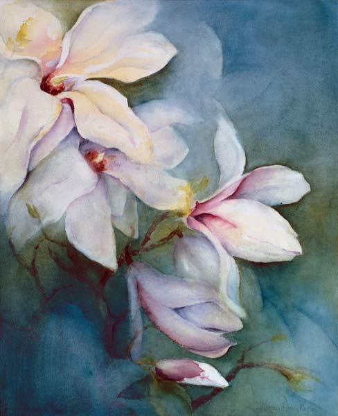 Magnolia Dedudata  od Karen  Armitage