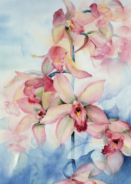 Orchid Cymbidium Ramley  od Karen  Armitage