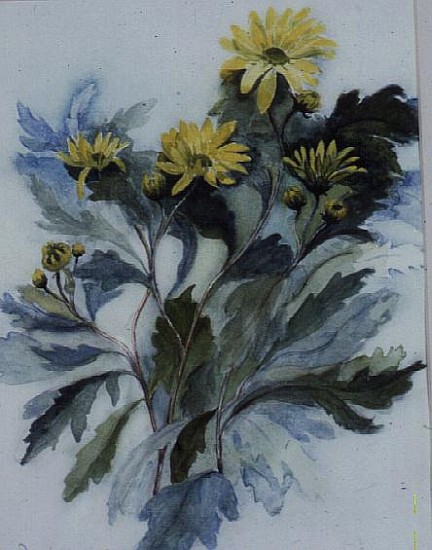 Chrysanthemum, Mary Stoker  od Karen  Armitage