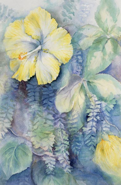 Hibiscus, yellow  od Karen  Armitage