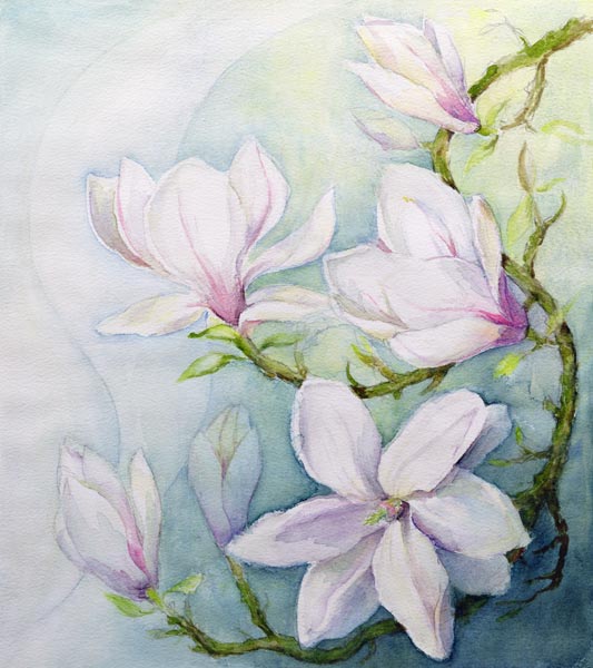 Magnolias (w/c)  od Karen  Armitage