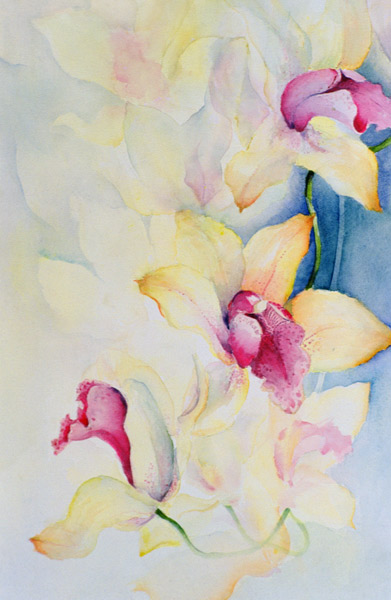 Orchid, Cymbidium, Prince Charles  od Karen  Armitage