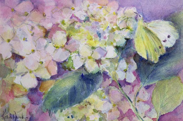 Pale Clouded Yellow Butterfly, Colias Hyale on Hydrangea  od Karen  Armitage