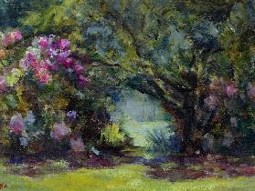 Garden at Curanilahue, Chile, 1998 (oil on canvas) 