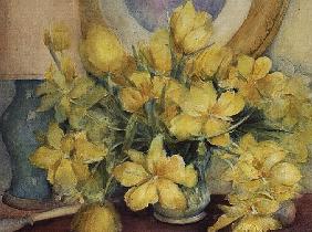 Double Yellow Tulips 