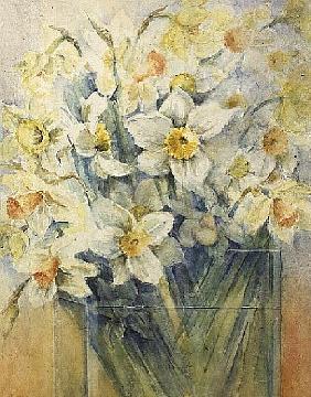 Mixed Daffodils in a Tank, 1989 