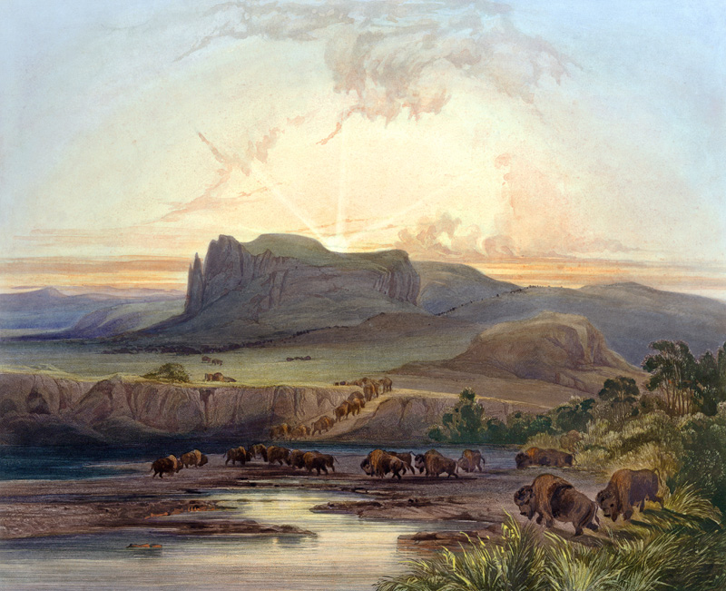 Herd of Bison on the Upper Missouri, plate 40 from Volume 2 of 'Travels in the Interior of North Ame od Karl Bodmer