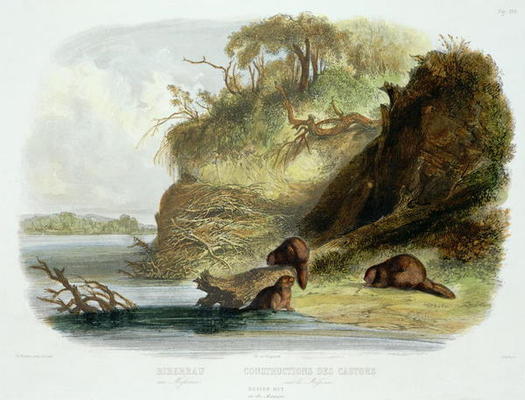 Beaver Hut on the Missouri, plate 17 from volume 1 of `Travels in the Interior of North America', en od Karl Bodmer