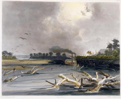 Snags (sunken trees) on the Missouri, plate 6 from Volume 2 of 'Travels in the Interior of North Ame od Karl Bodmer
