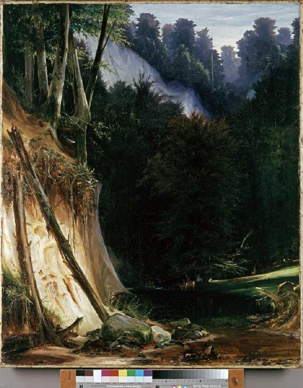 Waldschlucht mit Rotwild od Carl Eduard Ferdinand Blechen
