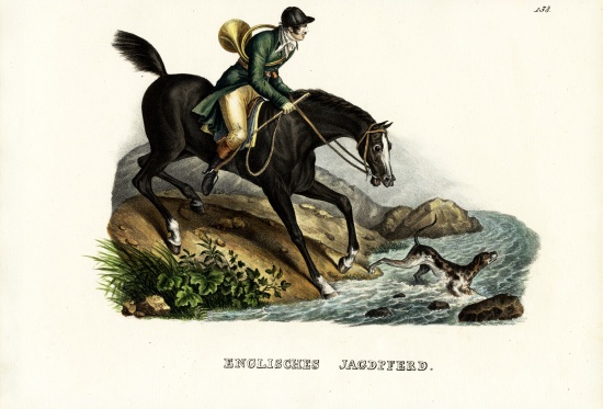 English Hunter Horse od Karl Joseph Brodtmann