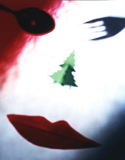 Christmas Face, 1995 (colour photo)  od Katherine  Fawssett