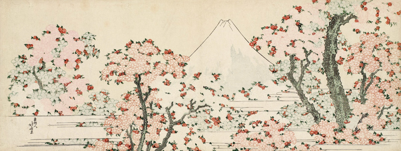 The Mount Fuji with Cherry Trees in Bloom od Katsushika Hokusai