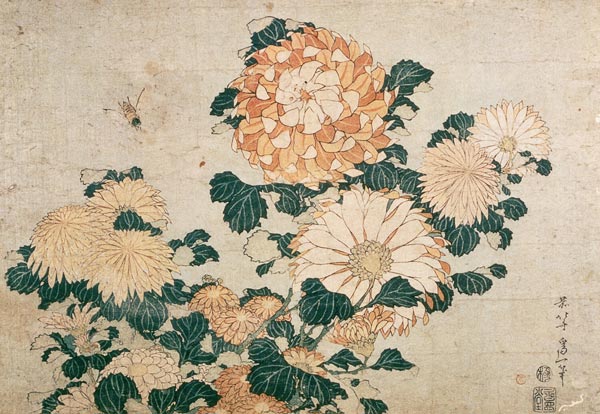 Chrysanthemums od Katsushika Hokusai