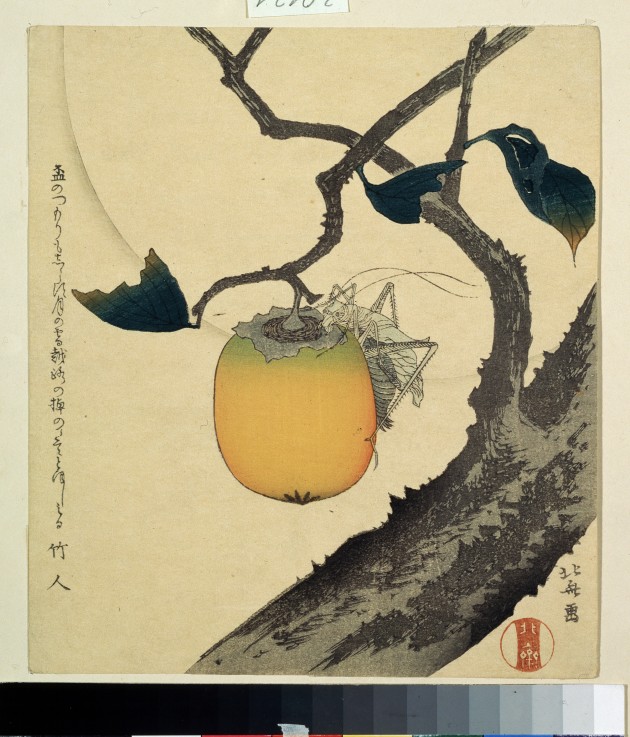 Moon, Persimmon and Grasshopper od Katsushika Hokusai
