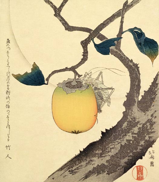 Moon, Persimmon and Grasshopper, 1807 (colour woodcut) od Katsushika Hokusai