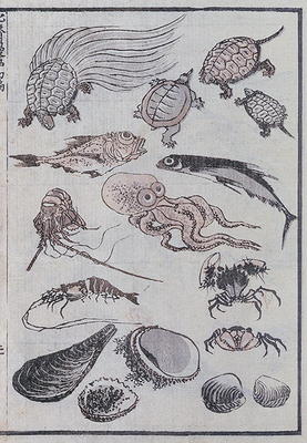 Undersea creatures, from a Manga (colour woodblock print) od Katsushika Hokusai