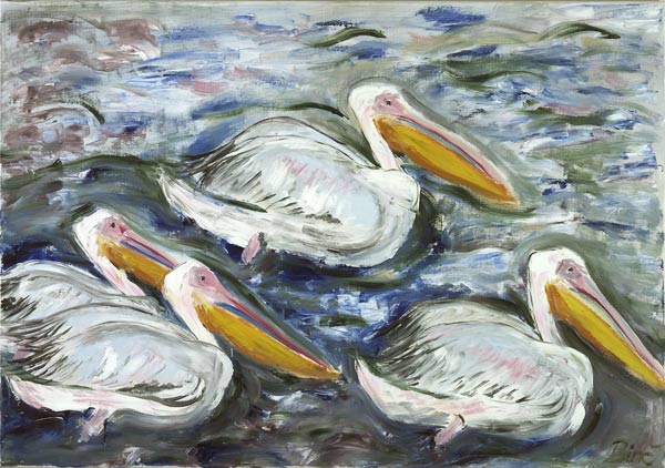 Pelikane od Sabine Katterle