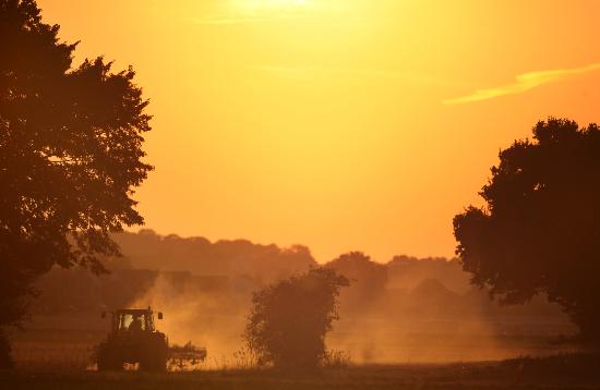 Traktor im Sonnenuntergang od Kay Nietfeld