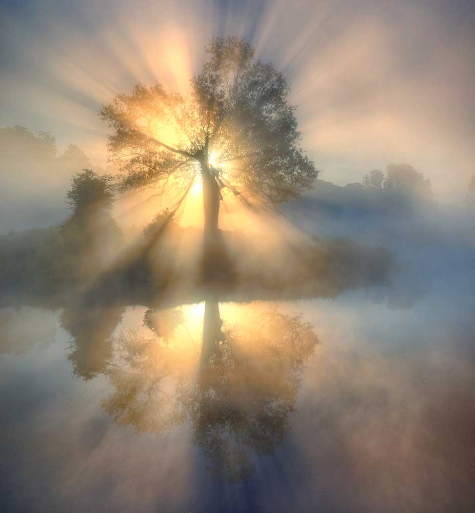Tree of light od Keller