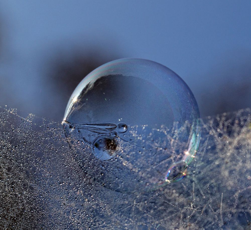 Blue bubble morning od Kent Mathiesen