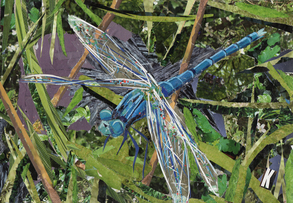 Blue Dragonfly od Kirstie Adamson
