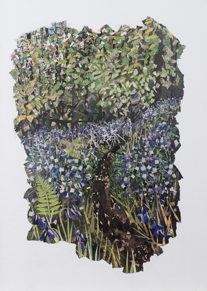 Bluebell Wood od Kirstie Adamson
