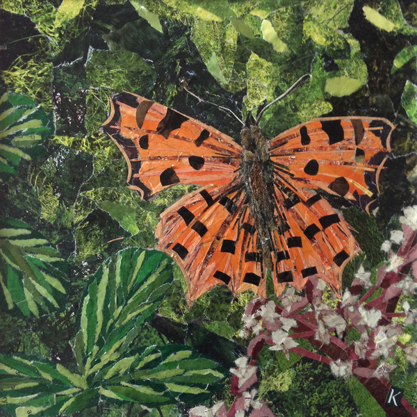 Flutter - Comma Butterfly On Japonica od Kirstie Adamson