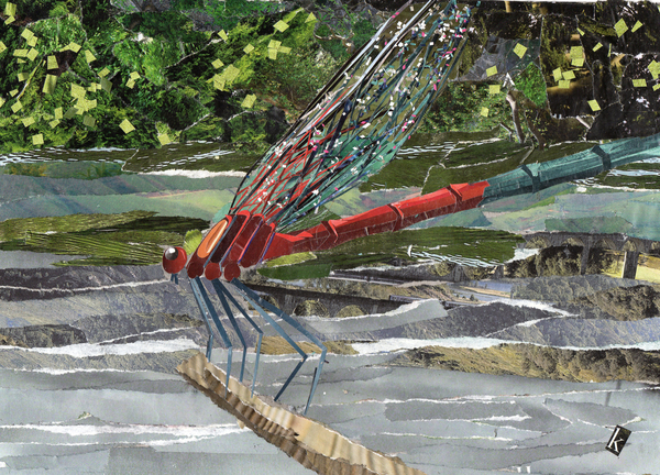 Red Dragonfly od Kirstie Adamson