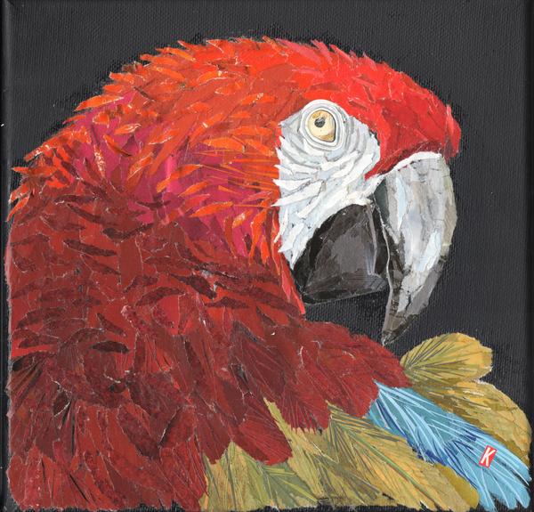 Red Macaw Parrot od Kirstie Adamson