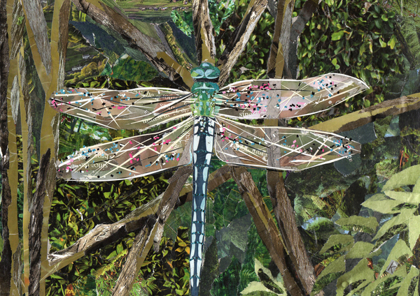 Turquoise Dragonfly od Kirstie Adamson