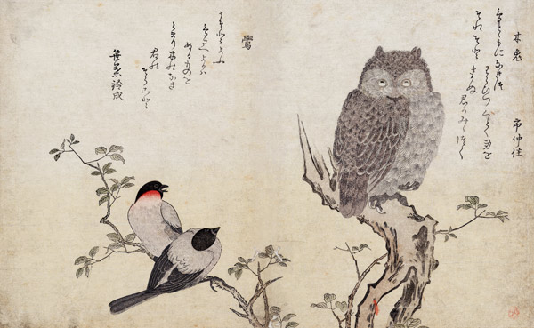 An Owl and two Eastern Bullfinches, from an album 'Birds compared in Humorous Songs, Contest of Poet od Kitagawa  Utamaro