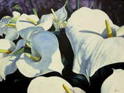 Aurum Lilies od James Knowles